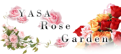 YASA　Rose　Garden